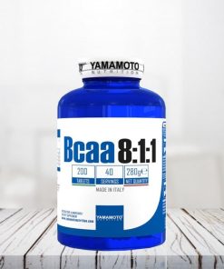 Bcaa 8:1:1