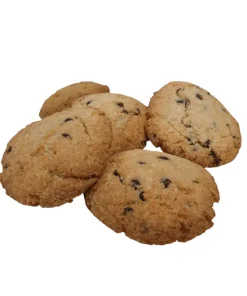 Biscotti Cocco e Cioccolato 2x50gr – Ketolab25