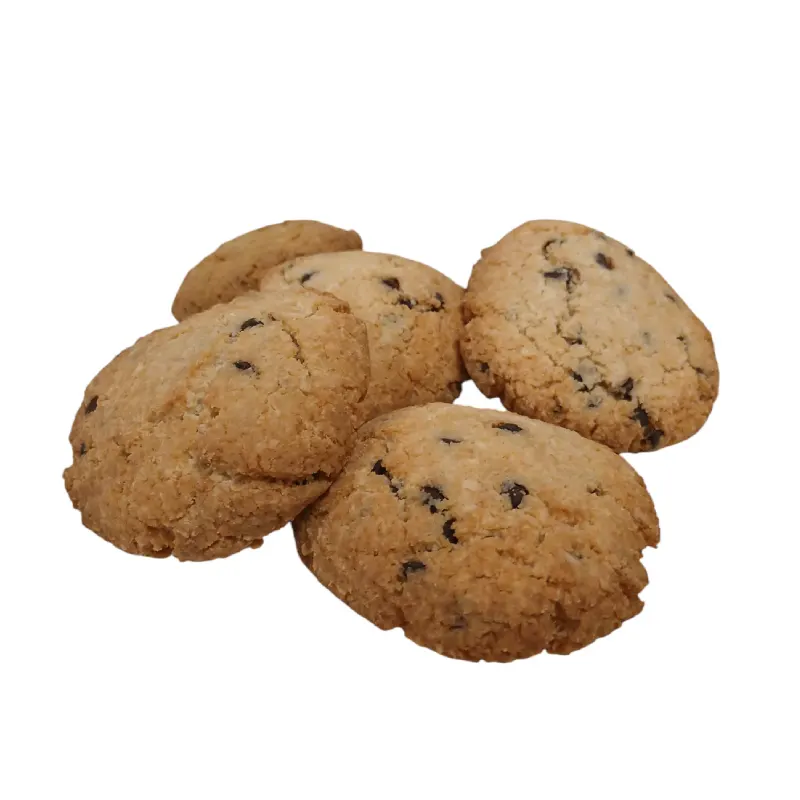 Biscotti Cocco e Cioccolato 2x50gr – Ketolab25