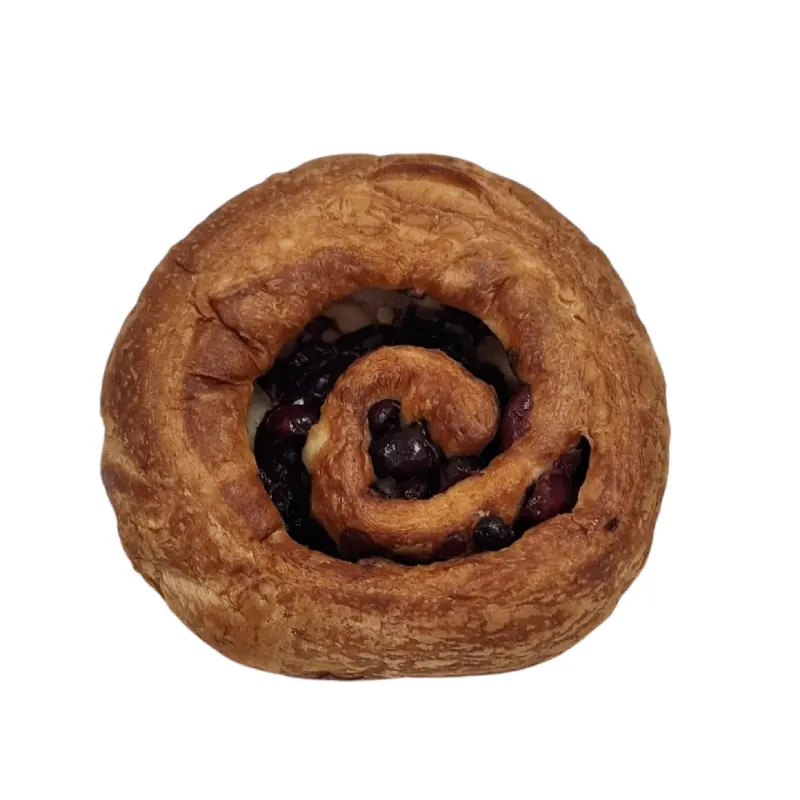 Keto Girella Frutti Rossi e Cioccolato 100gr – Ketolab25