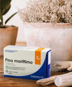 Pino marittimo Pycnogenol 30cps | Yamamoto Nutrition