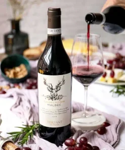 Vino Keto Francese Malbec D Altitude Fortant 0,75l