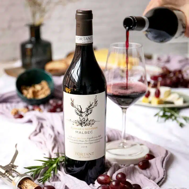 Vino Keto Francese Malbec D Altitude Fortant 0,75l