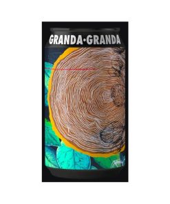 AFTER NATIVE – BIRRIFICIO DELLA GRANDA  lattina cl.33 x 12