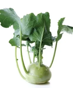Cavolo Rapa Biologico 1 pezzo