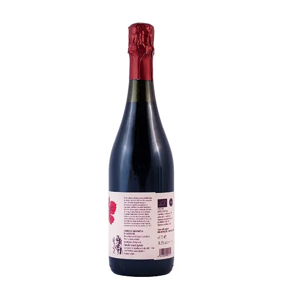 Lambrusco Grasparossa Castelvetro DOC amabile - immagine 2