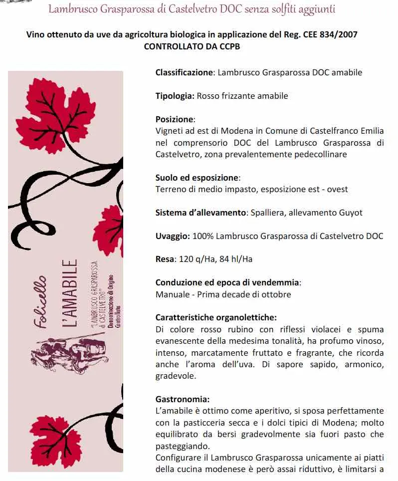 Lambrusco Grasparossa Castelvetro DOC amabile - immagine 3