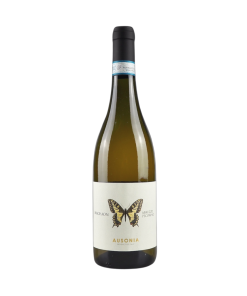 Ausonia – Machaon Pecorino