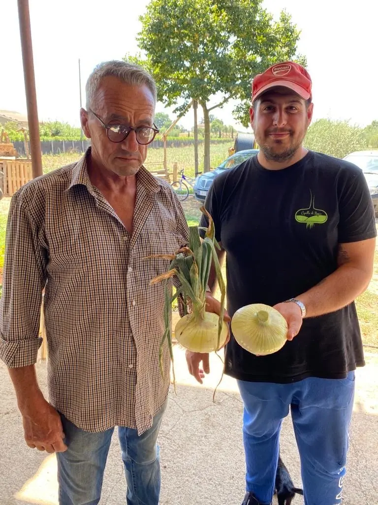 Cipolla di Nepi 1 Kg - immagine 4