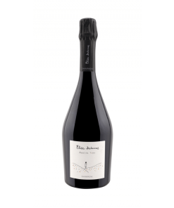 Champagne Elise Dechannes – Absolute Terre