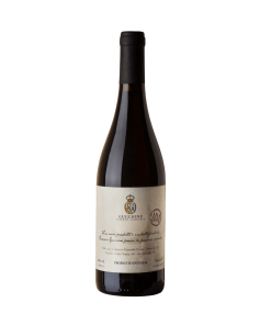 Guccione – NM 2018