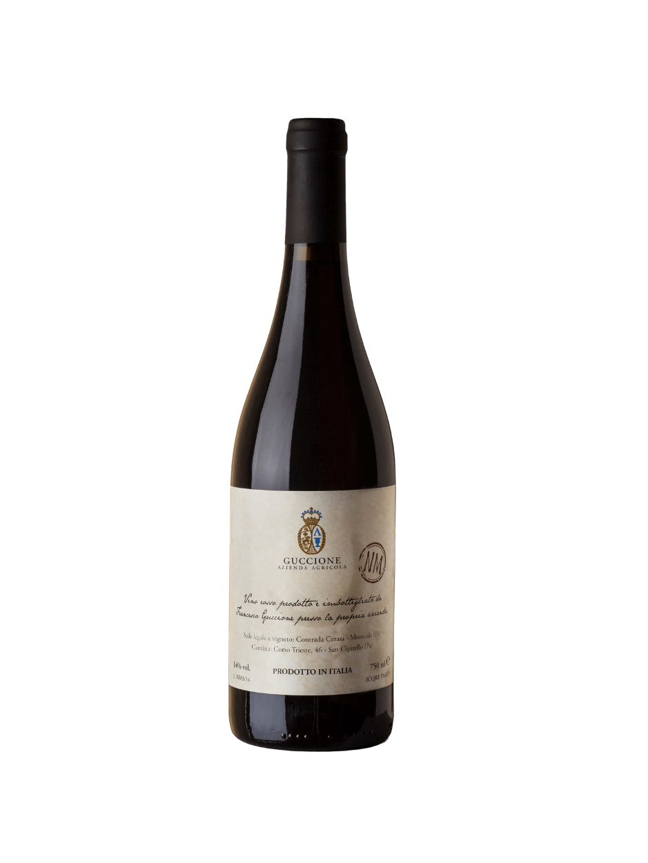 Guccione – NM 2018