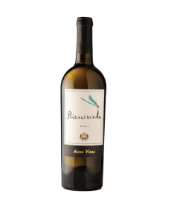 Aldo Viola – Biancoviola