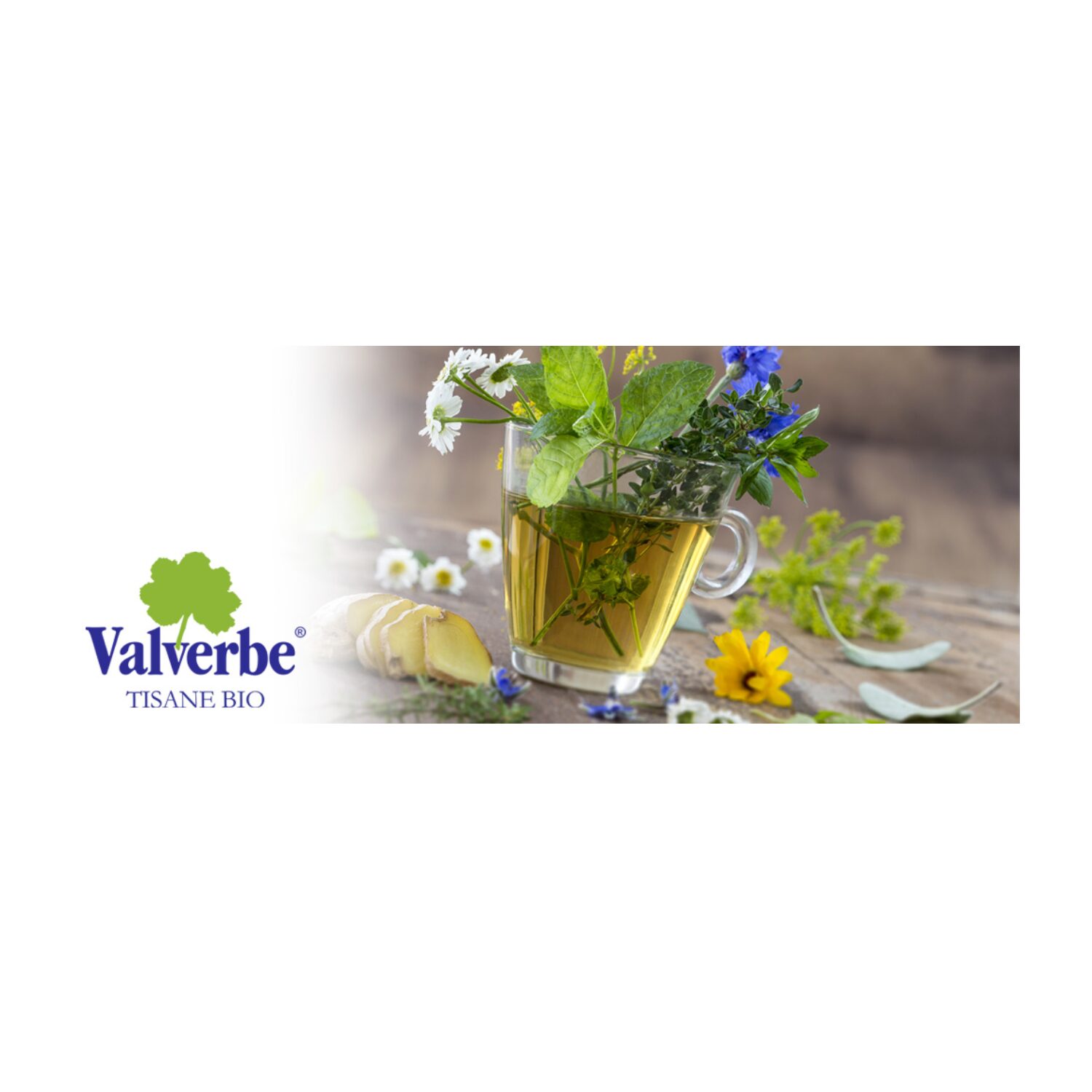 Valverbe® | Chocoarancio | Miscela BIO di Erbe per Tisana | Infuso Cioccolato e Arancio – 20 Filtri (30 Gr) | Tisana BIO Fruttata - immagine 3