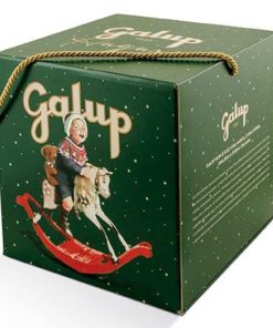 Galup® | Pandoro Gran Galup Tradizionale | Pandoro con Zucchero a Velo Lievitato Naturale – 750 Gr