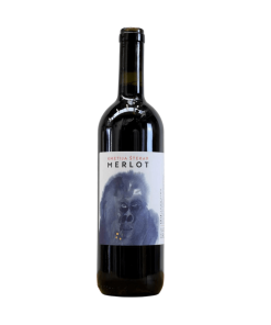 Kmetija Štekar – Merlot 2020