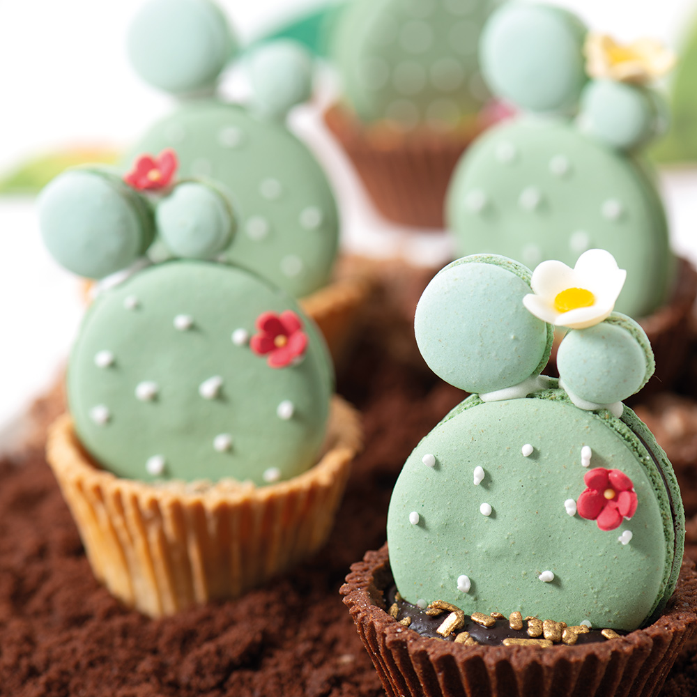 Mix per macaron - immagine 6