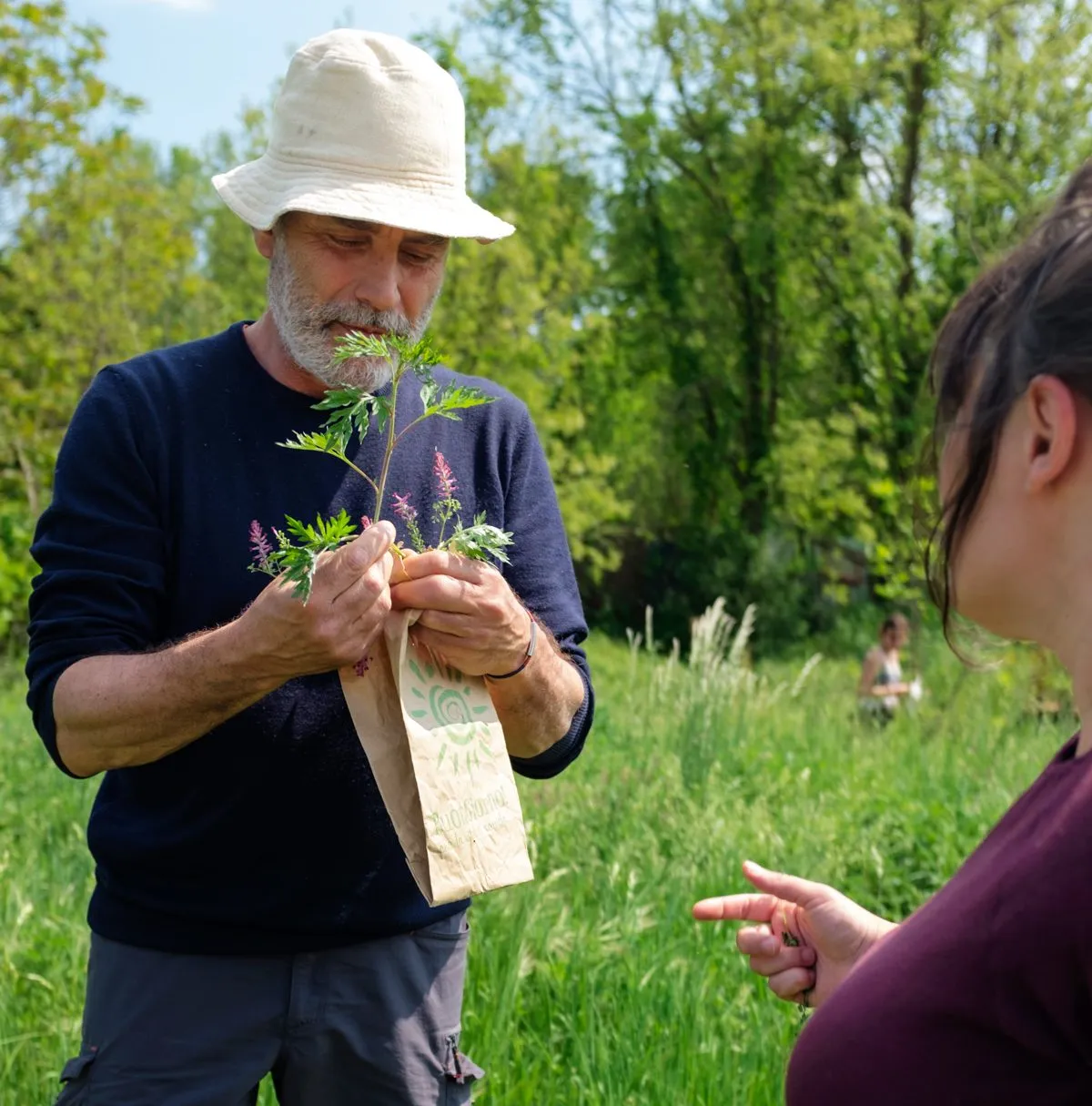 ERBE SELVATICHE 2023 – LEZIONE DEL 18 GIUGNO