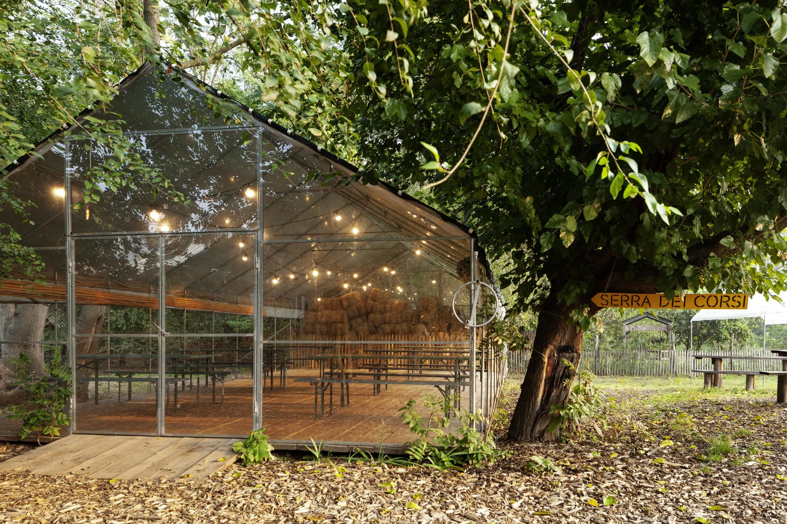 YOGA IN FATTORIA – 20 settembre 2025