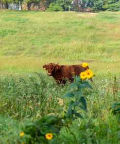 Attività in classe 2 Ridotto – Orti Generali