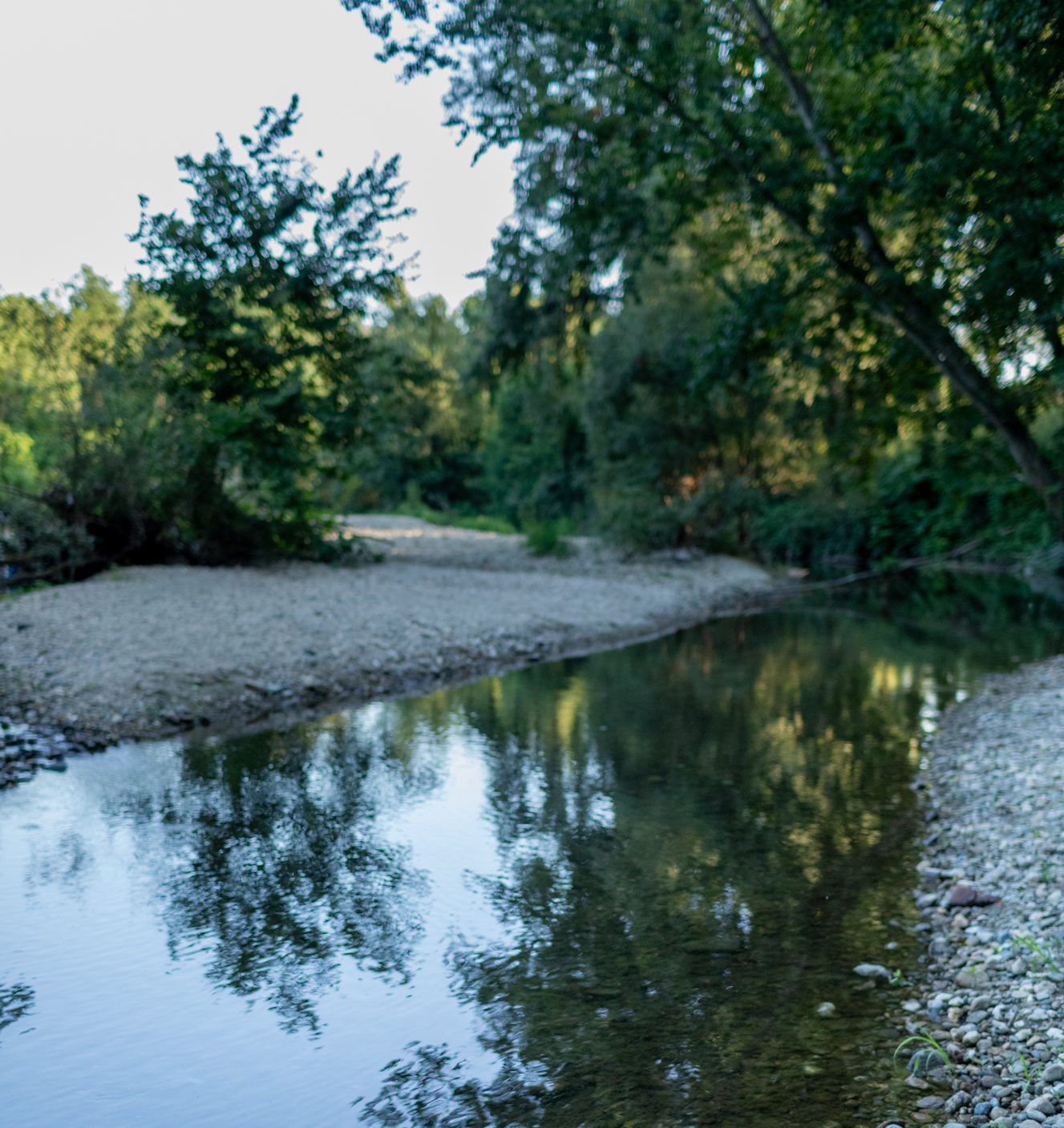 PERMACULTURA 2° MODULO – 12-13 APRILE 2025