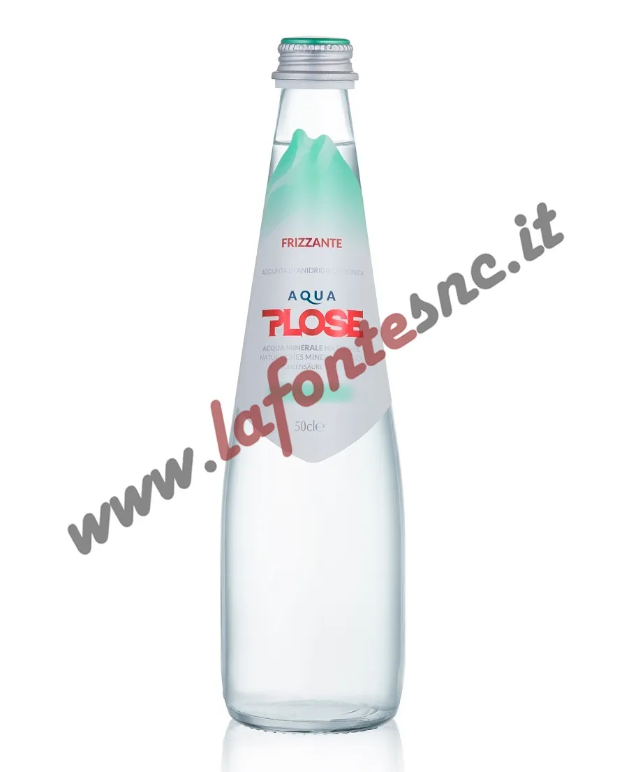 Acqua Plose Frizzante 1/2 litro vetro (20 bottiglie)