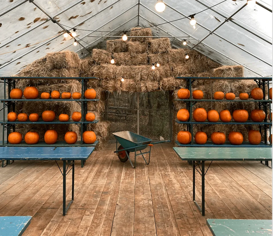 FESTA DI HALLOWEEN 2023 – dom. 29/10 – 11:30-12:30