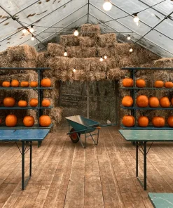 FESTA DI HALLOWEEN 2022 – sab. 29/10 – 14:30-15:30