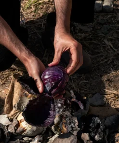 CUCINA SELVATICA DA CAMPO – SABATO 15 NOVEMBRE 2025