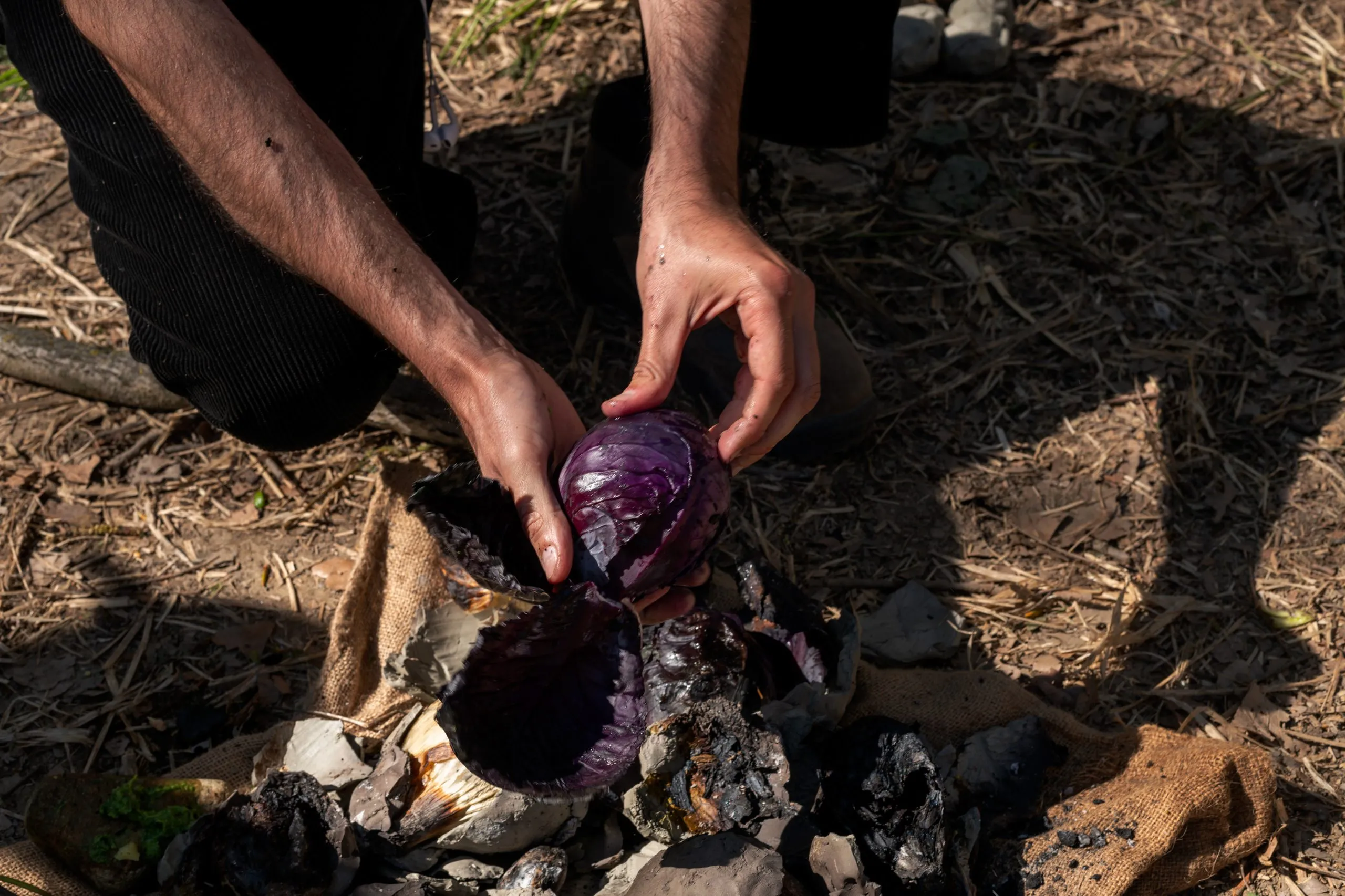 CUCINA SELVATICA DA CAMPO – SABATO 15 NOVEMBRE 2025