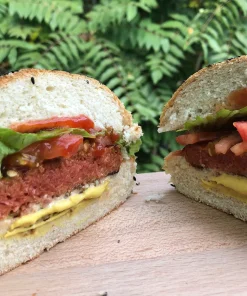 PRANZO DEL 1 APRILE – MENÚ ADULTə