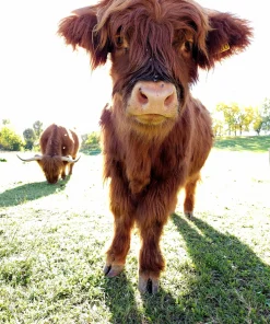 Prodotto di test nascosto