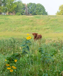 Visita guidata presso Parco Piemonte, Orti Generali – Giornata Intera