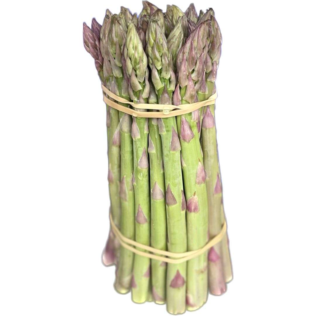 Asparago di Mambrotta verde di Verona pezzatura media 16-22 mm 900 gr – “Azienda Agricola Fasoli”
