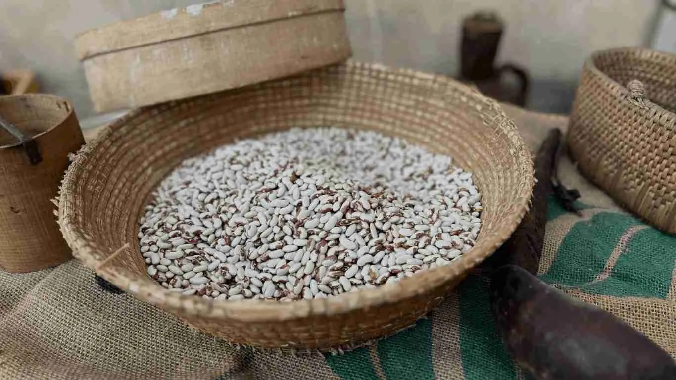 Fagioli cosaruciari di Scicli di presidio Slow Food - immagine 3