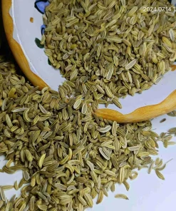 Semi di Finocchietto