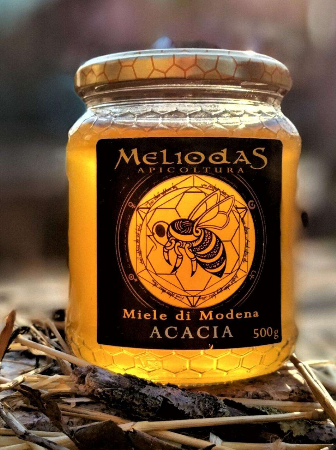 Miele di Acacia Miele di Modena “Meliodas”