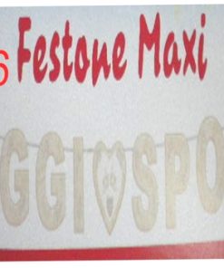 Festone Oggi Sposi