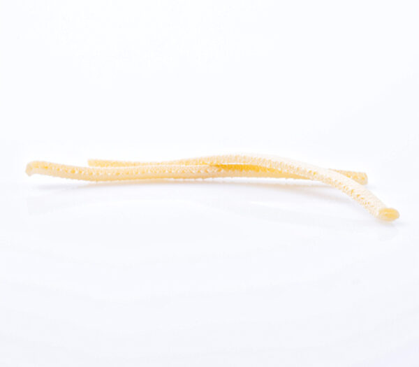 Scialatielli - immagine 3